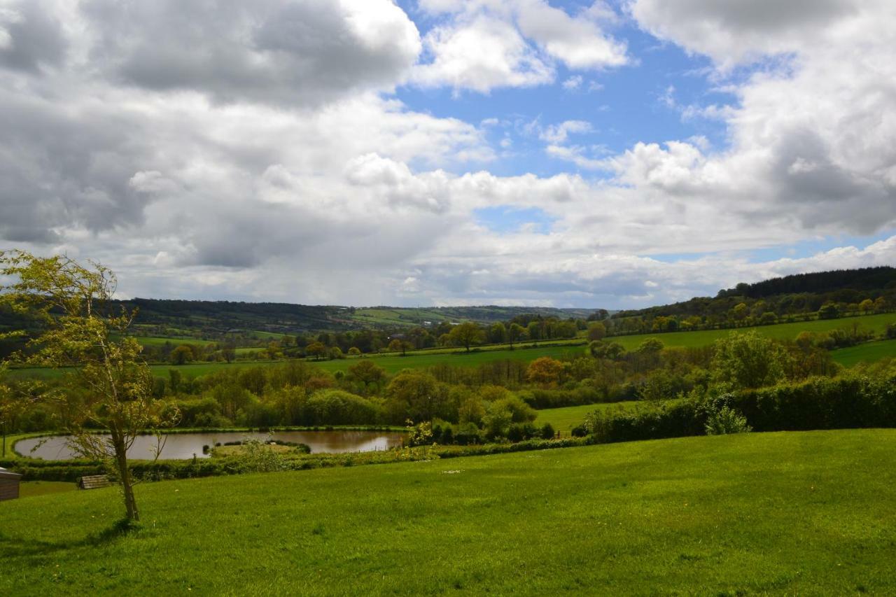 Odle Farm Villa Honiton Dış mekan fotoğraf