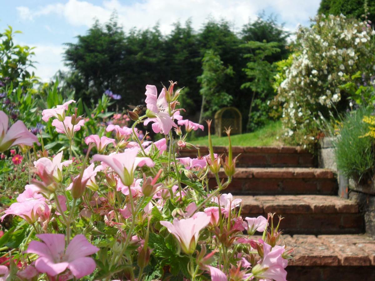 Odle Farm Villa Honiton Dış mekan fotoğraf