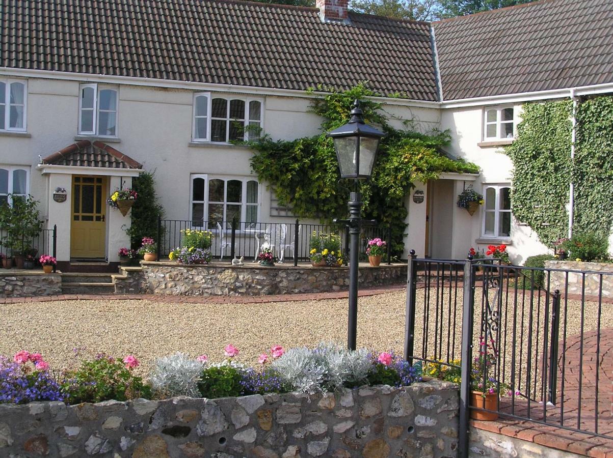 Odle Farm Villa Honiton Dış mekan fotoğraf