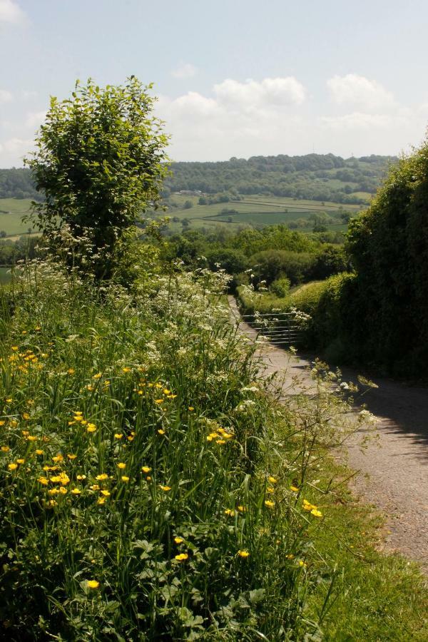 Odle Farm Villa Honiton Dış mekan fotoğraf